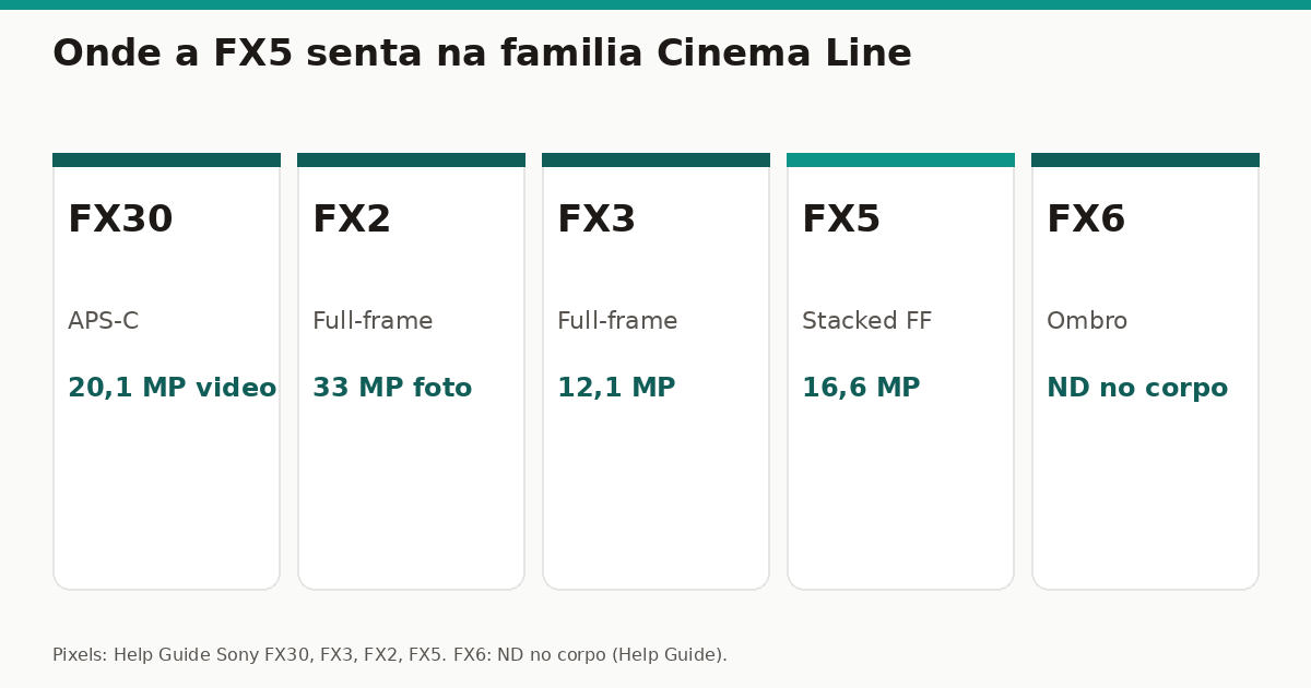 Cinco cartões: FX30 APS-C, FX2 33 MP, FX3 12,1 MP, FX5 stacked 16,6 MP, FX6 ombro com ND
